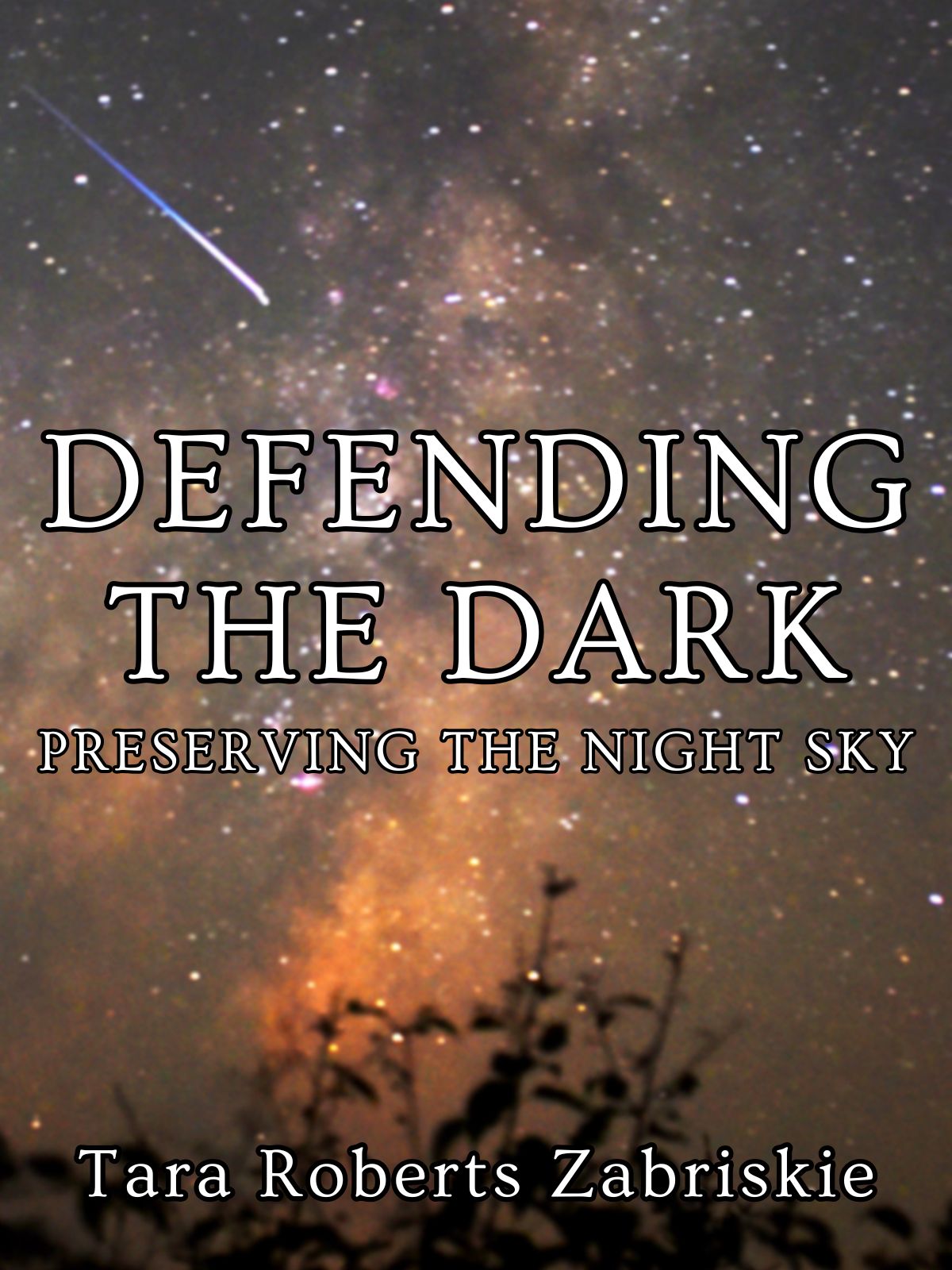 Defending the Dark: Preserving the Night Sky