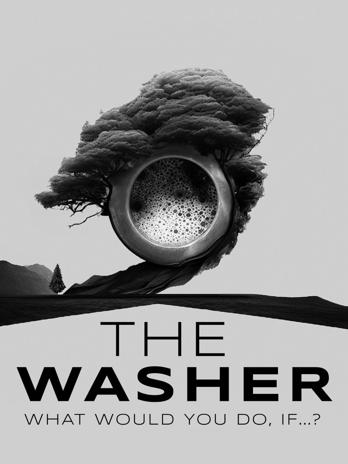 The Washer