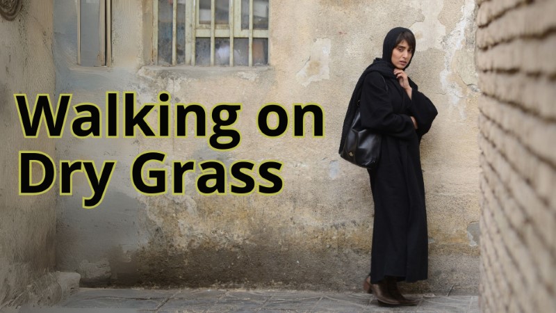 Walking on Dry Grass