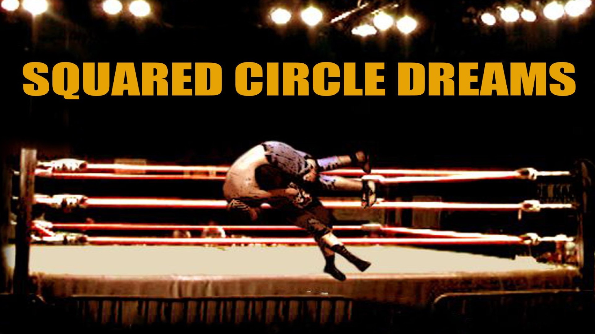 Squared Circle Dreams