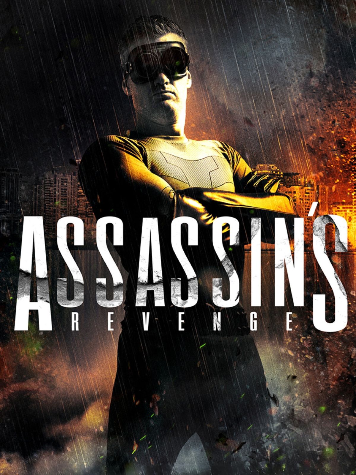 Assassins Revenge