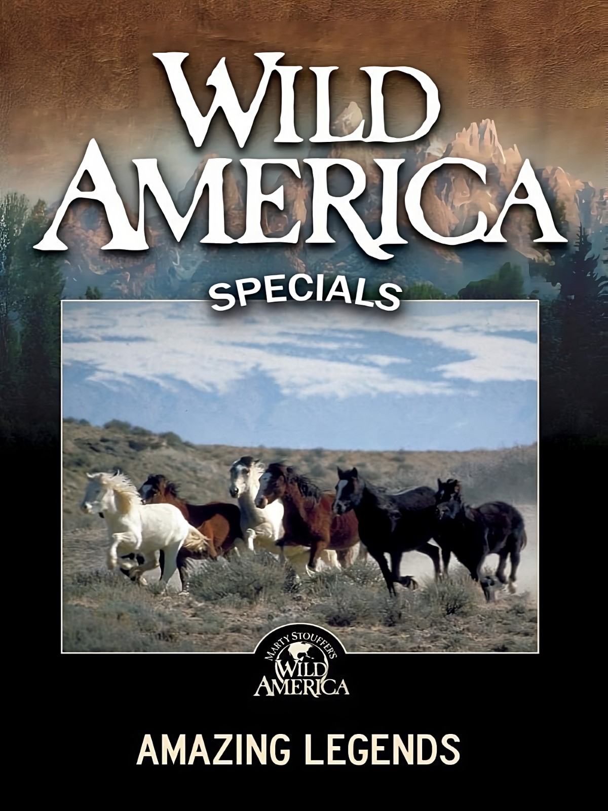 Wild America Special: Deadly Beauty