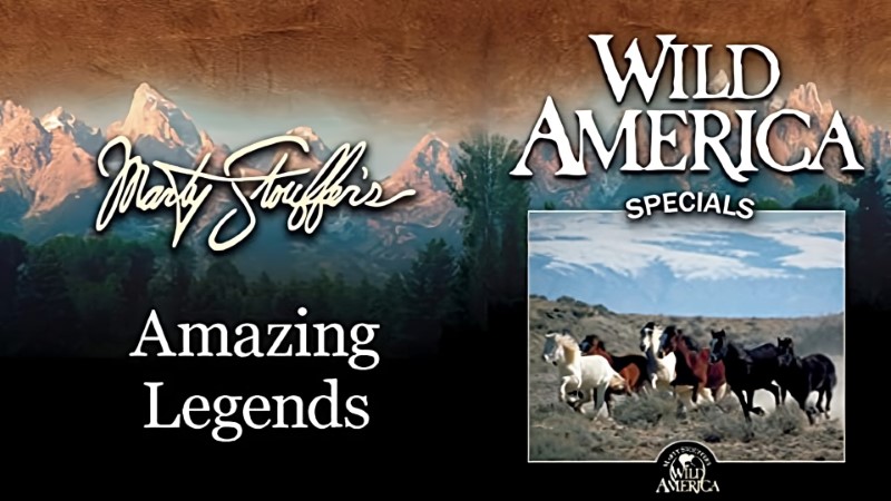 Wild America Special: Deadly Beauty