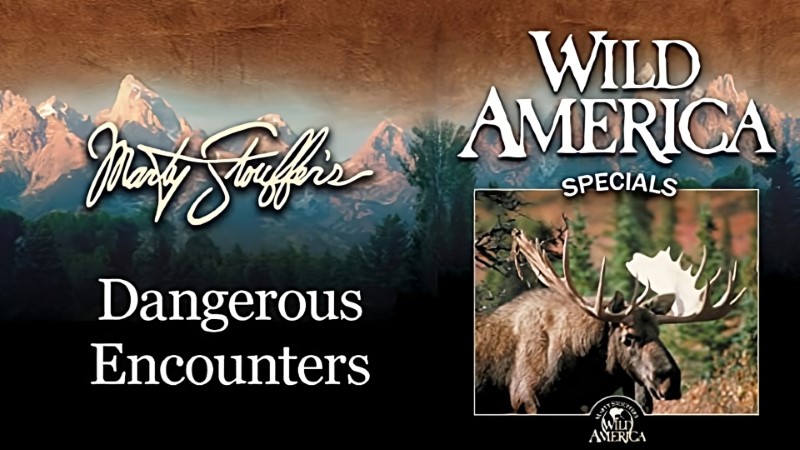 Wild America Special: Martys World