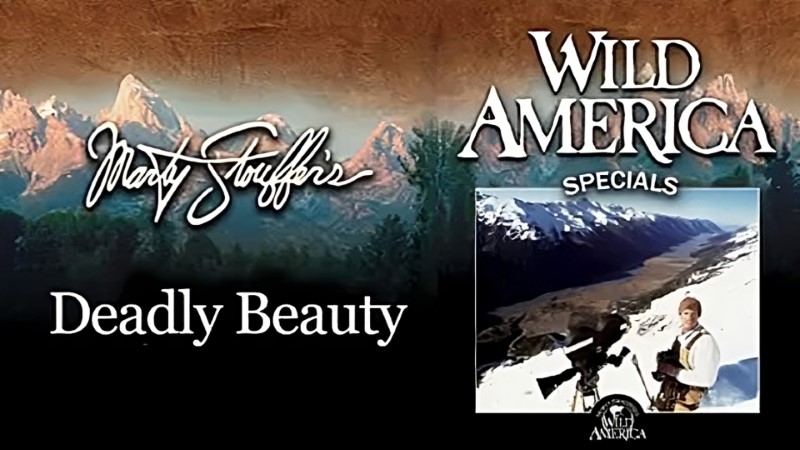 Wild America Special: Tender Times