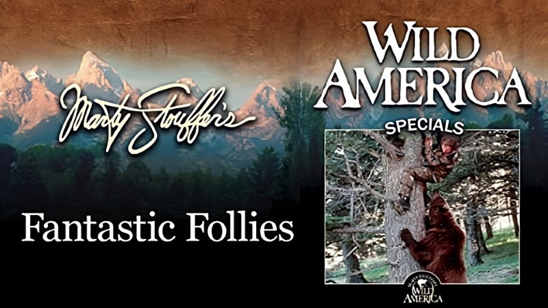 Wild America Special: Amazing Legends