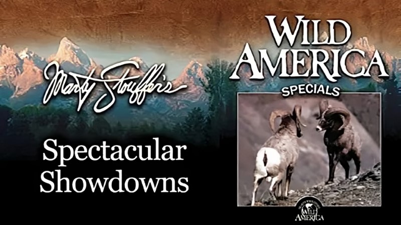 Wild America Special: Dangerous Encounters