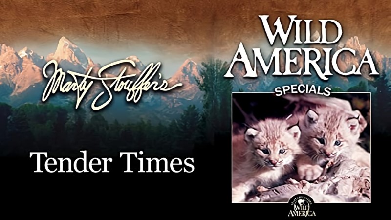 Wild America Special: Spectacular Showdowns